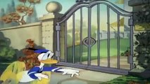 Donald Duck The Volunteer Worker 6f0Q8vx4W7w
