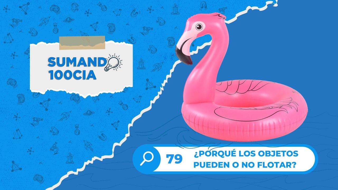 79 ¿PORQUÉ LOS OBJETOS PUEDEN O NO FLOTAR?