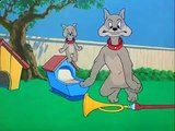 توم وجيري قديم tom et Jerry