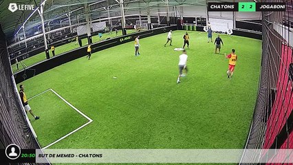 But de memed - chatons