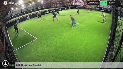 But de lini - amenalah