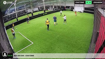 But de chx - chatons