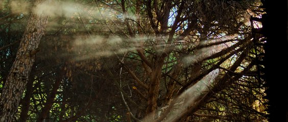 Terkedilmiş | movie | 2015 | Official Trailer