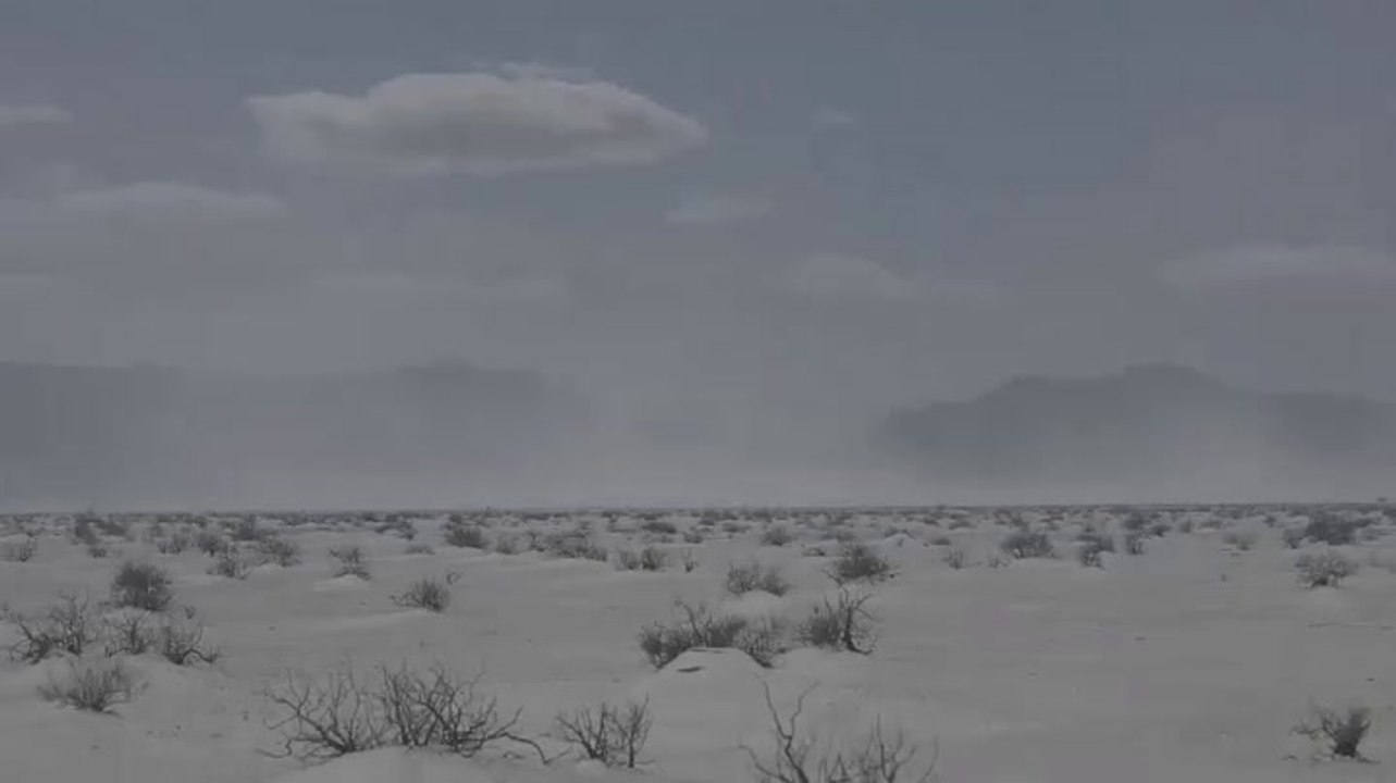 Fossilized Human Footprints Found In New Mexico video Dailymotion