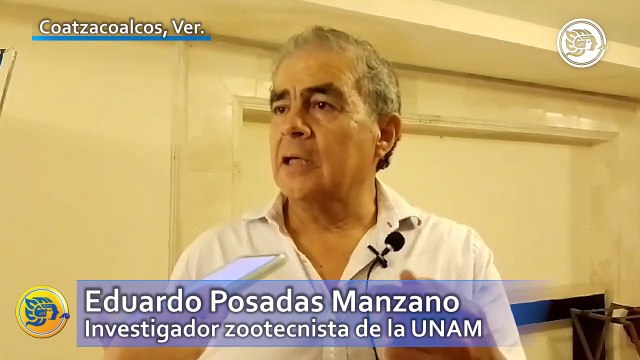 Medidas del Siniiga deben ser más flexibles con ganaderos veracruzanos: zootecnista