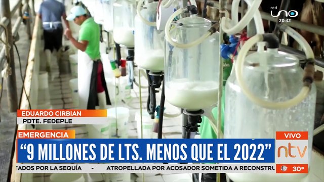 Productores de leche disminuyen su producción por sequía
