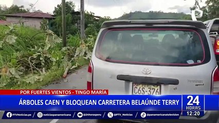 Tinga María: Caída de árboles bloquea carretera Belaúnde Terry