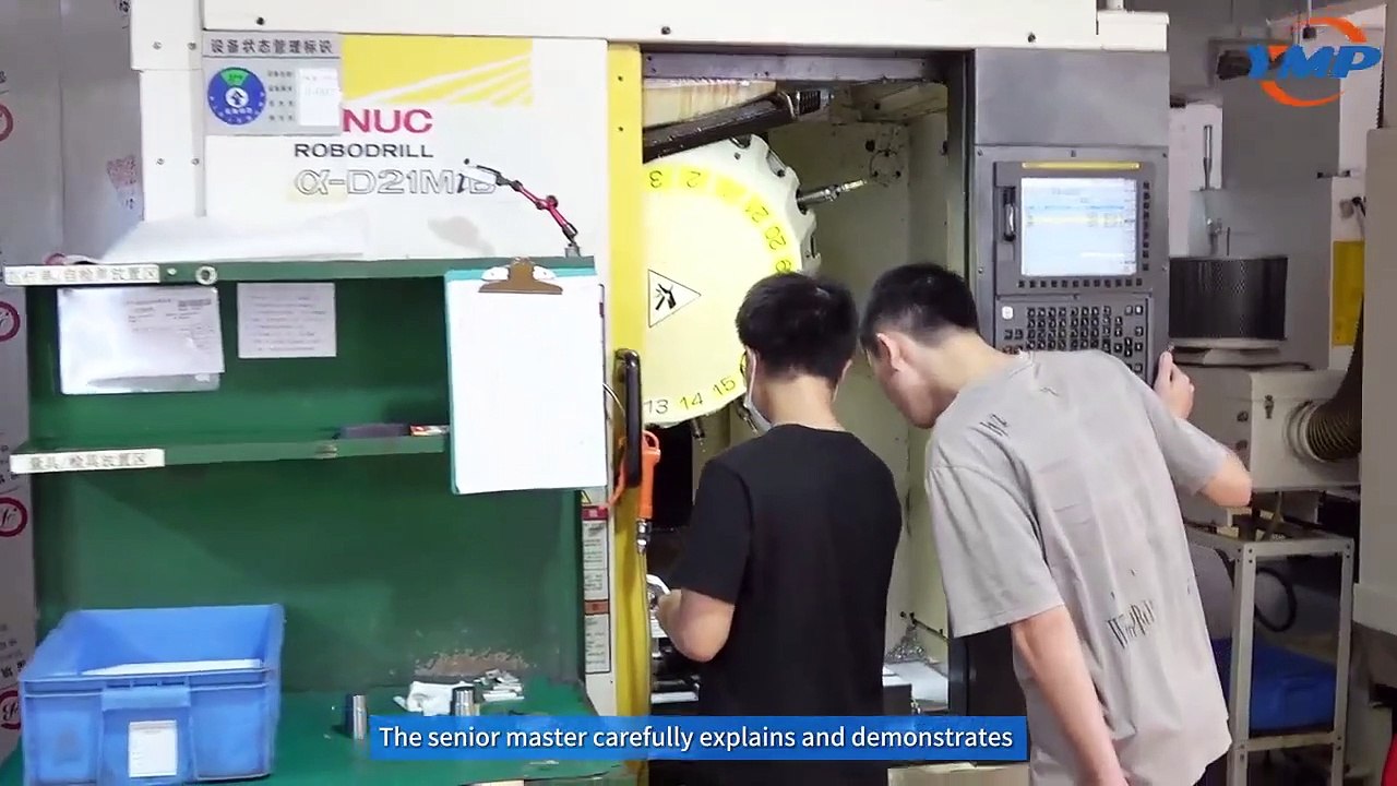 Master-apprenticeship