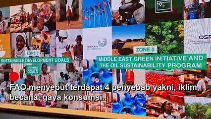 Laporan Langsung dari Arab Saudi, 800 Juta Orang di Dunia Kelaparan Akibat Konflik dan Perang