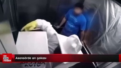 Asansörde arı şakası