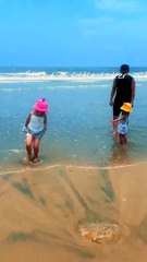 Kids' Journey to Success #shorts ⭐️ Linh Nhi Friends