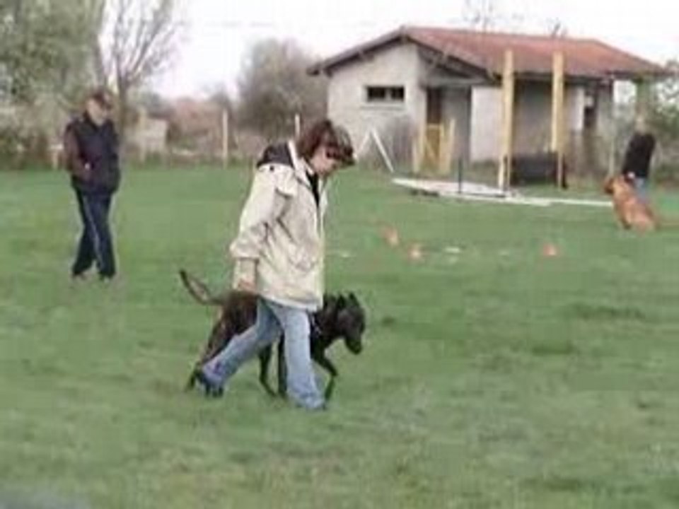 Suite aux pied1