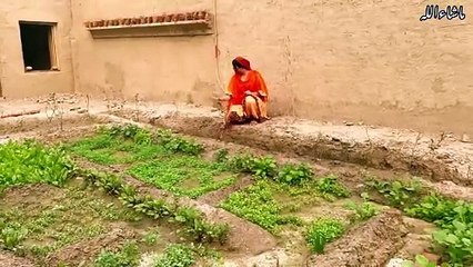 Gaon mein Kam Kaj krty howy Masti ky Mazy _ Aliza Sehar Vlogs