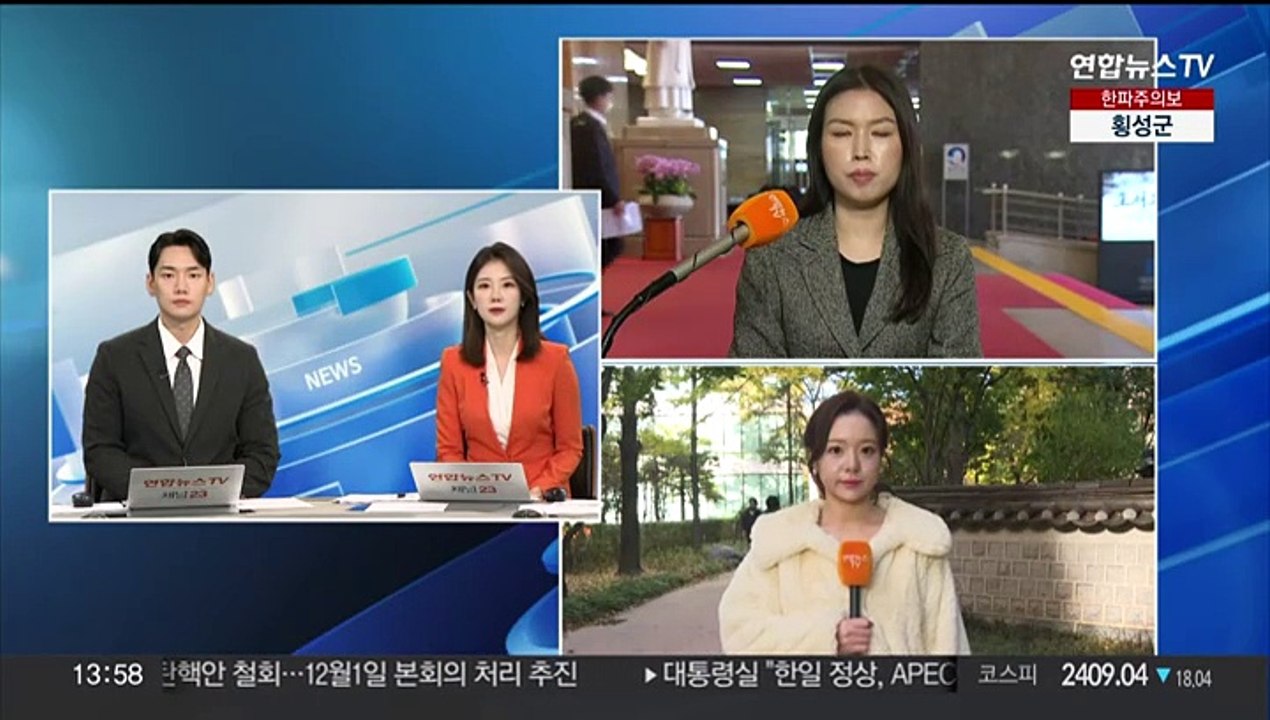 탄핵안 재발의 수순 '충돌'…쟁점법안 거부권 향배에 관심