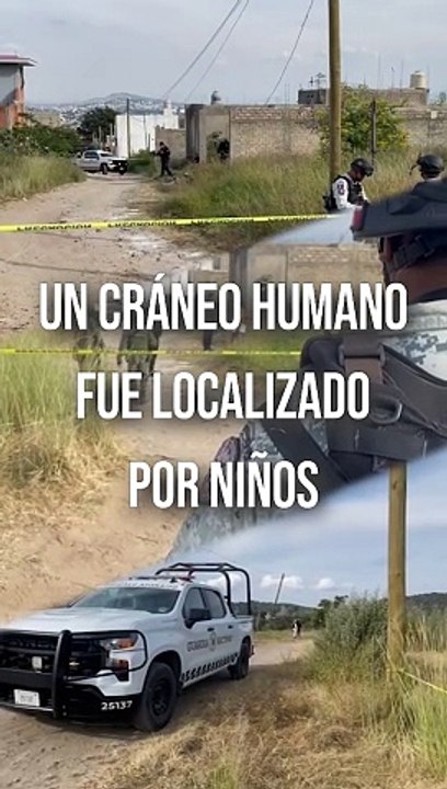 Mientras jugaban, niños localizaron un cráneo en la colonia Lomas de la Primavera, en Zapopan. Este es el cuarto hallazgo de restos humanos en la misma zona  #TuNotiReel