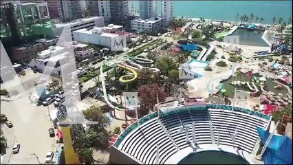 Dos delfines permanecen en agua estancada del CICI de Acapulco