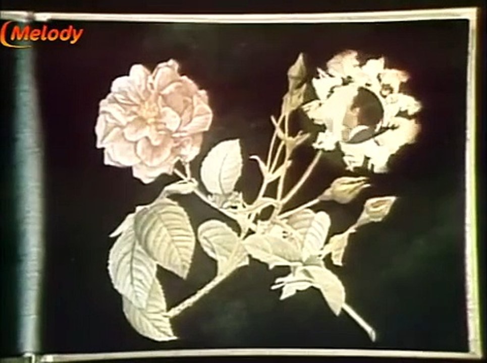 Bécaud & Co   07 Avril 1968 L'important c'est la rose