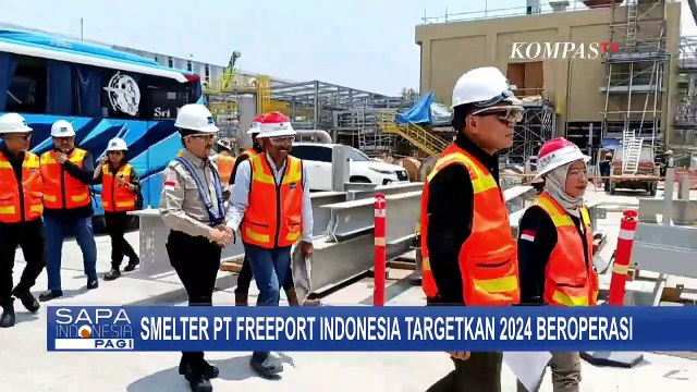 Kementerian BUMN Optimistis, Smelter Freeport di Gresik Beroperasi Tahun 2024