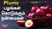 கொழுப்பை குறைக்கும் Plums | Plum Fruit Benefits Tamil | Plum Fruit Benefits for Pregnancy in Tamil