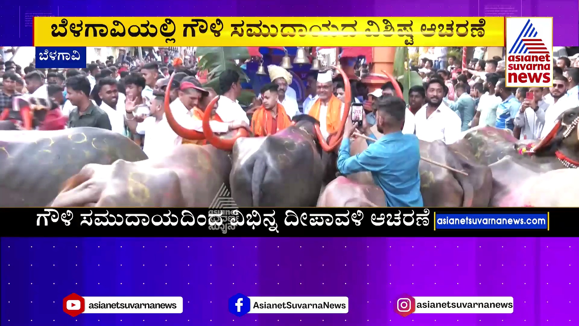 ದೀಪಾವಳಿ ವಿಭಿನ್ನವಾಗಿ ಆಚರಿಸುವ ಗೌಳಿ ಸಮುದಾಯ: ಬಲಿಪಾಡ್ಯಮಿ ದಿನ ಎಮ್ಮೆ, ಕೋಣ ಸಿಂಗರಿಸಿ ಸಂಭ್ರಮ