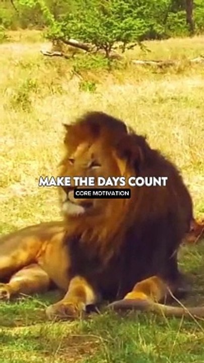 MOTIVATION