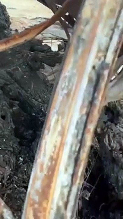 İsrail'in ateş ettiği araçtaki İsrailliler yanarak küle dönmüş