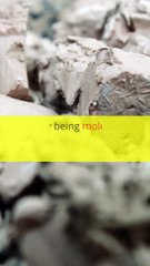 Benefits of a Regular Detox