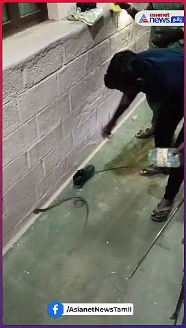 Snake rescued | கோவையில், சூவுக்குள் ஒளிந்து கொண்ட பாம்பு மீட்பு! - மக்கள் பீதி!