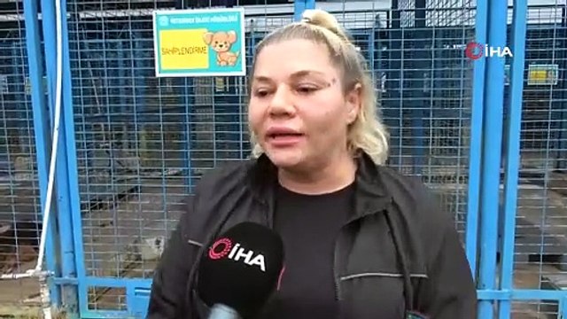 Sürü halinde dolaşan sokak köpeklerinden korunma tüyoları