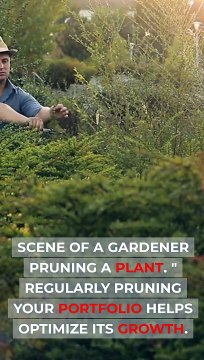 Pruning for Profit Optimizing Your Investment Portfolio