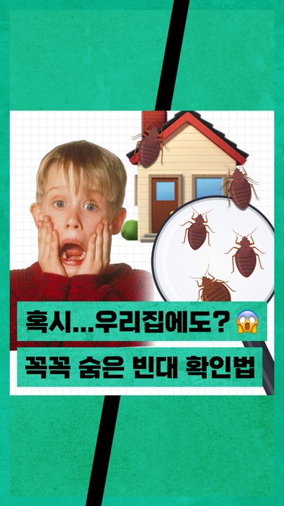 5분만 투자하면 되는 '빈대 퇴치 꿀팁' 알려드립니다. 메모장 켜세요ㄱㄱ