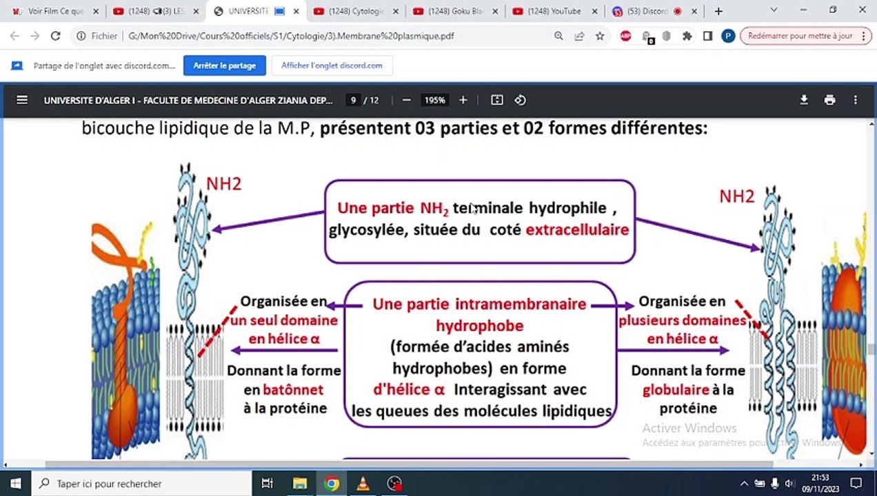 CYTOLOGIE STRUCTURE DE LA MEMBRANE PLASMIQUE 2