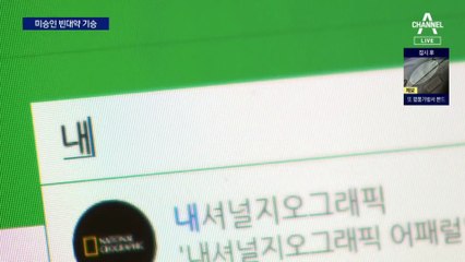 미승인 살충제 기승…“속지 마세요”