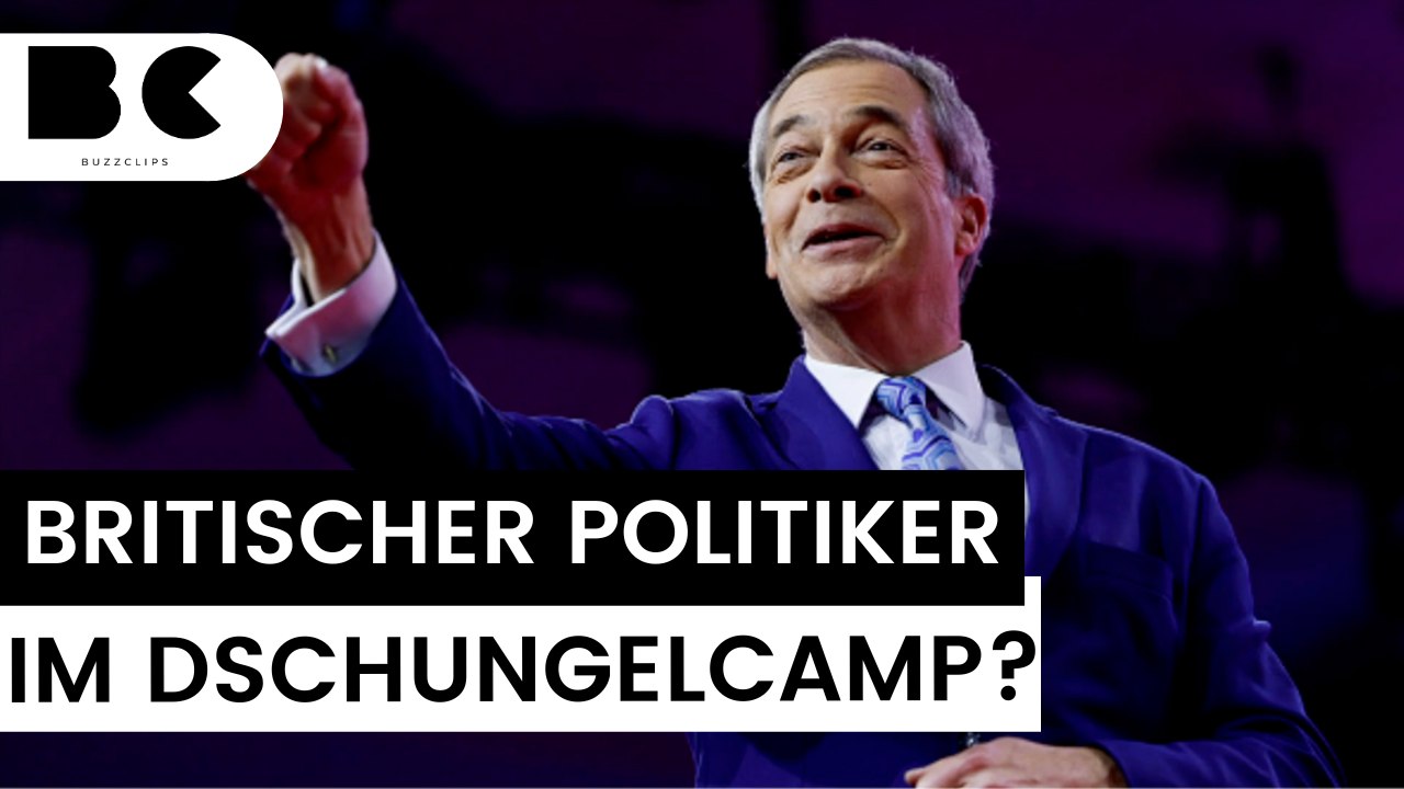 Skandal-Politiker bald beim britischen Dschungelcamp?
