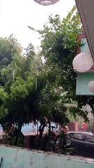 अलवर में आंधी तूफान के साथ जबरदस्त बारिश , देखिए वीडियो