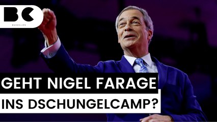 Skandal-Politiker wohl bald im Dschungelcamp zu sehen