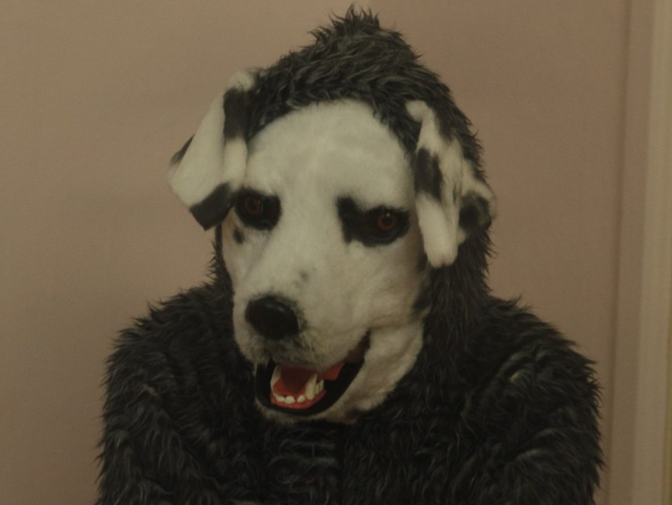 'Good Boy': Tierisch abgefahrener Horror-Thriller aus Norwegen