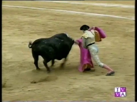 TARDE DE TOROS-CRISTINA SANCHEZ-PEPIN LIRIA-PEDRITO DE PORTUGAL- PLAZA TOROS DE VALLADOLID 16 SEPTIEMBRE