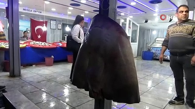 Balıkçıların ağına takılan 120 kiloluk ''canavar'' şaşkına çevirdi