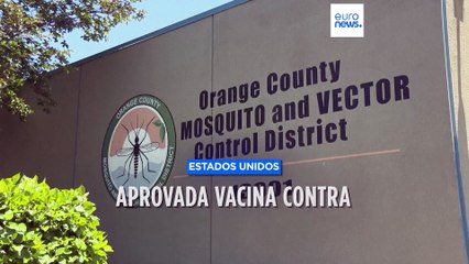 Primeira vacina contra vírus chikungunya é aprovada nos Estados Unidos