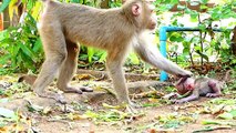 Amazing Practical Work Of Lovable Saro With His Beloved Mother Sarika