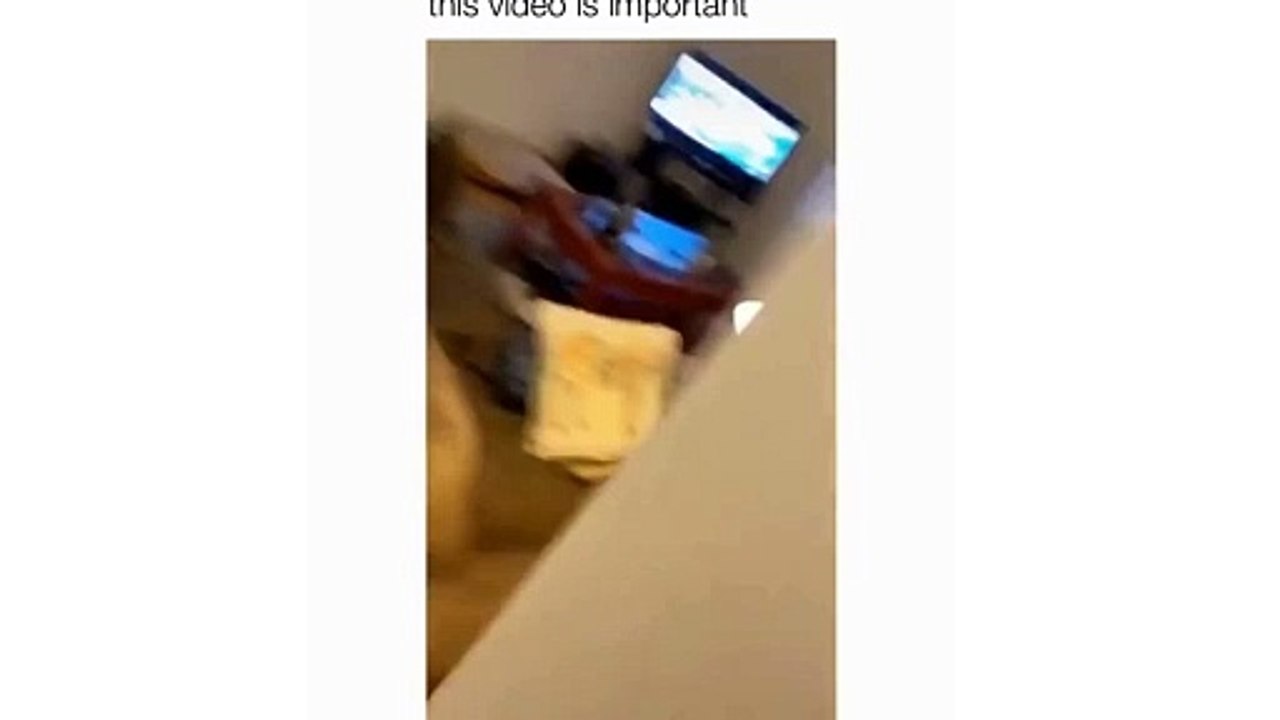 Watch Now Hilarious Dog Caught Spying on My Every Move! You Won't Believe What Happens!