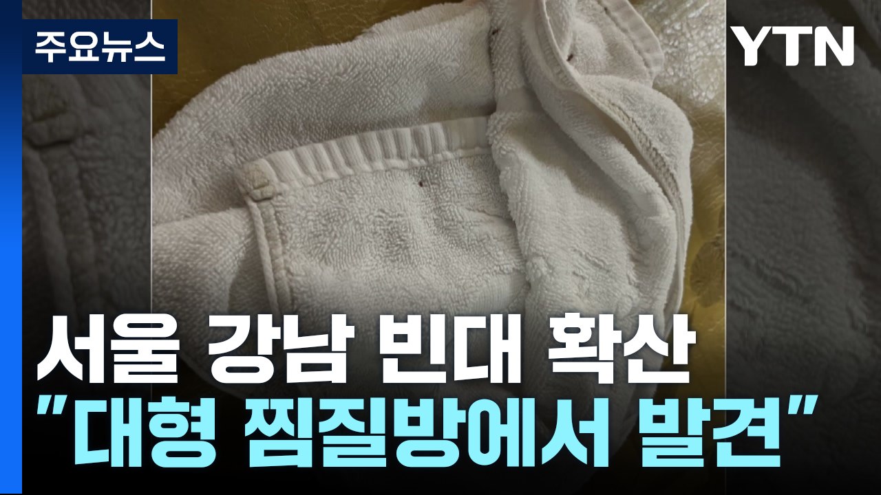 "서울 강남까지 빈대 확산" 지나친 공포감 우려...'대체 살충제' 긴급 승인 / YTN