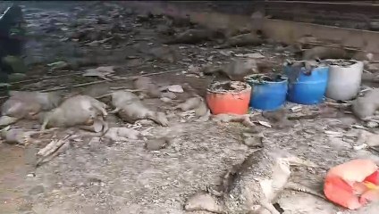 “Vamos a intentar seguir con lo poco que ha quedado del incendio”