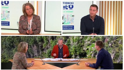 Assises de la bioéconomie en BFC – Jour 1 – TR1. Le puits de carbone forestier