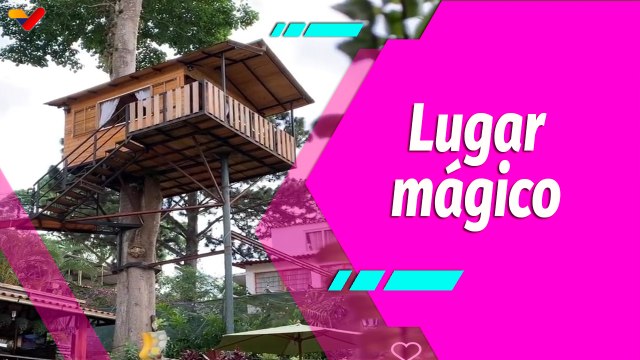 Buena Vibra | Dormir en una casa en el árbol, ahora es posible vivir esa experiencia en Caracas