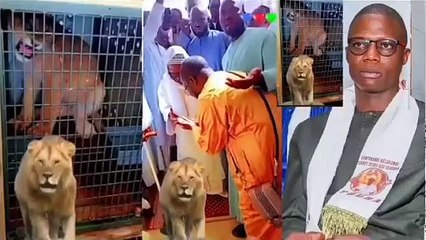 Urgent Touba Ay Léral ci adiya Gaïndé yi Sadaga Seck Diokh Serigne Mountakha