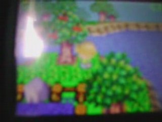 julien de savignie [acww] zelda