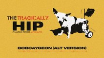 The Tragically Hip - Bobcaygeon (Audio/Alternate Version)