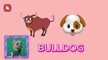 Guess The Animal By Emoji Challenge